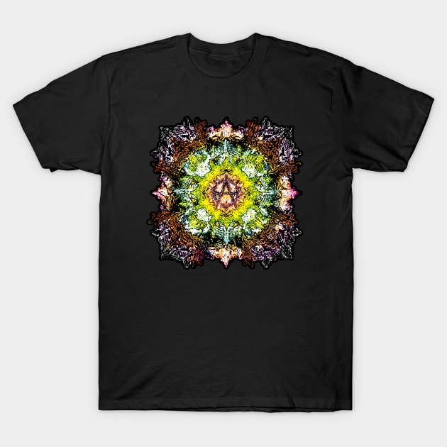 Anarchy Psychedelic RMX 2 T-Shirt by BlackCollarPolitics